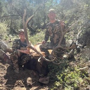 Meet your Posher, Shaun